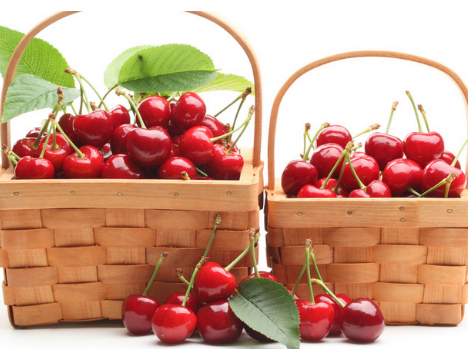 樱桃的营养价值是怎样的