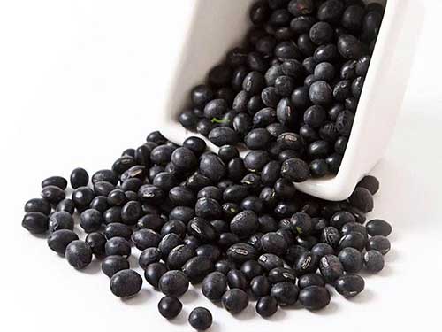 黑豆补肾的最佳做法