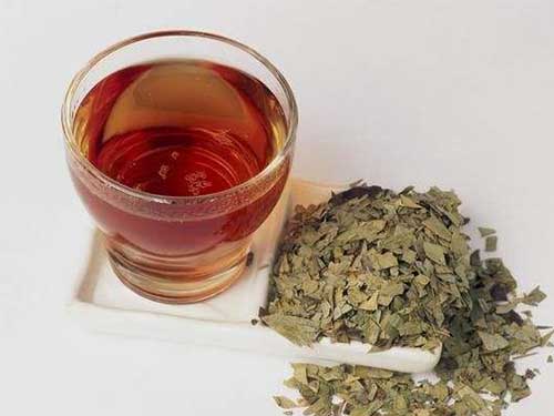 首乌丹参茶的功效与作用