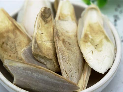 乌贼骨的功效与作用