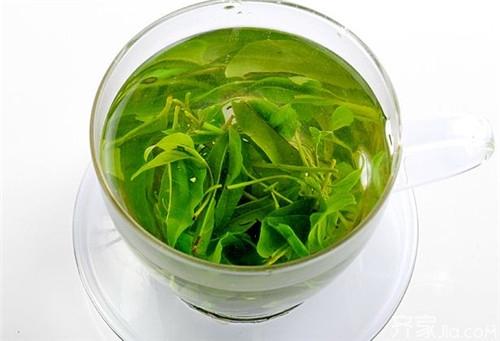 苦丁茶的副作用 苦丁茶的作用与功效和副作用