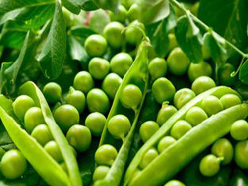 e5d9cecc68ed7f9f-4a423bed0e6208da-1a1763f32ca7c6d1abb627f9c5ab4