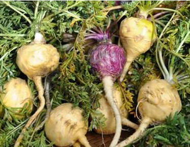 玛卡泡水喝的功效有哪些