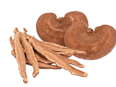 女人吃灵芝有什么好处