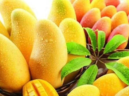 芒果一天吃几个最好