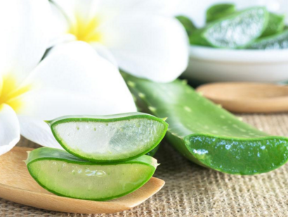 芦荟煮水喝会有哪些作用