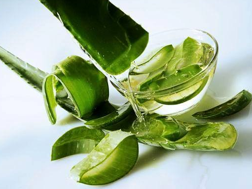 芦荟泡水喝有什么功效