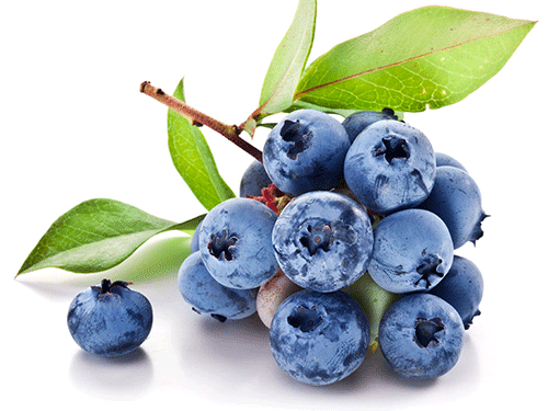 蓝莓干怎么做 哪些人适合吃蓝莓